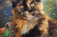 Maine Coon kitten Elisa StarPaws, color f, litter E, 16.10.2019