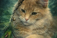 Maine Coon kitten Kira StarPaws, color e 25, litter K, 15.09.2020