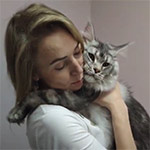 Maine Coon kitten Olympus video 3