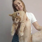 Maine coon kitten Rumba video 2