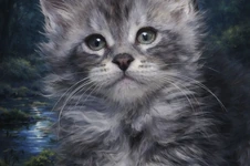 Maine Coon kitten Tuman StarPaws, color ns 22, litter T, 03.11.2021